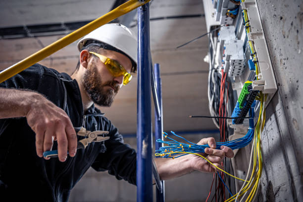 Best Local Electrician Companies  in Carrollton, KY