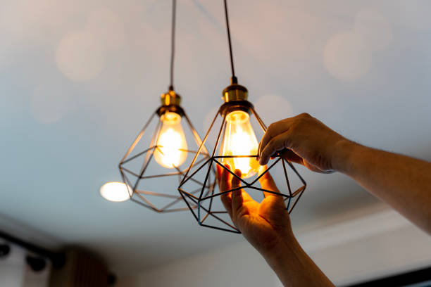 Best Ceiling Fan Installation Electrician  in Carrollton, KY